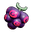 Dark Skill Fruit icon.png
