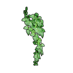 Small Wall Ivy icon.png