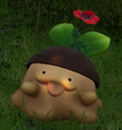 A Gumoss with a Beautiful Flower on its head.