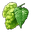 Hop icon.png